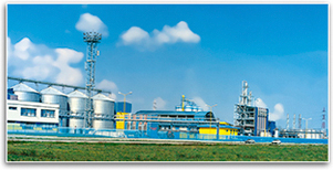 Scandic Distilleries